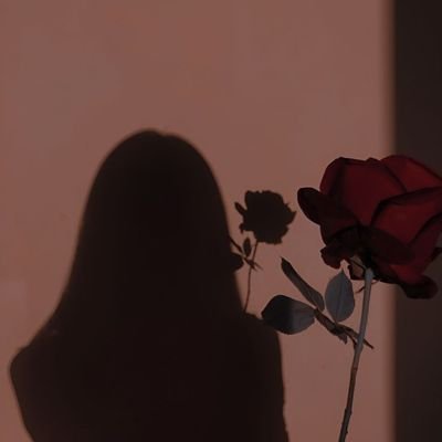 ZoeinXland's profile picture. 