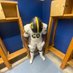 Landon Gunn (@landongunn_fb) Twitter profile photo Landon Gunn (@landongunn_fb) Twitter profile photo