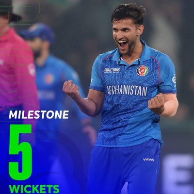 zalminajib's profile picture. political analysts