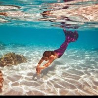 Liberty (@fidanentrk) 's Twitter Profile