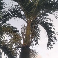 Abdoul tiene (@abdoultiene2016) 's Twitter Profile