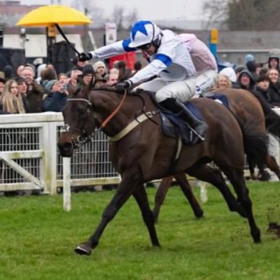 Professional Jump Jockey. Sponsored by Astute Limited