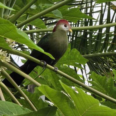 pradhiruban's profile picture. Food 🍛Music 🎶 Nature 🌿🌳 Movies 🍿cooking 🧑‍🍳