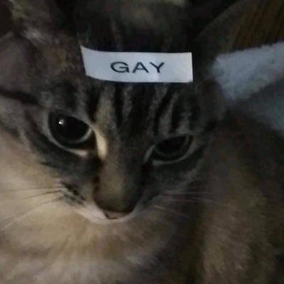 hercupcak3's profile picture. arcane 🪢 brainrot • 26 • 🏳️‍🌈 — ©️banner @daldalmoon1004