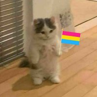 xXPerryXx (@luvgamer6) 's Twitter Profile
