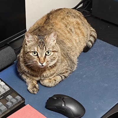 kensey_yale's profile picture. 