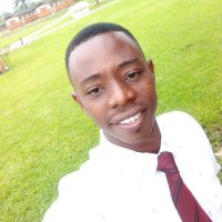Divine Ndarake (@divinethebldr) 's Twitter Profile