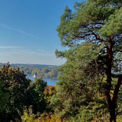 SiGlobe's profile picture. She/Her| Eerthling🌏 a doomed Anthropology researcher