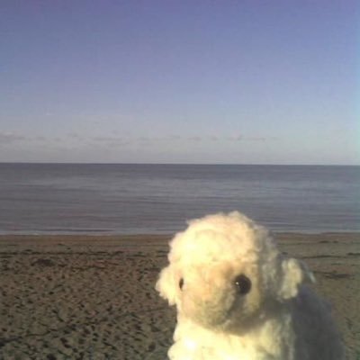 tinyaquariums's profile picture. 大好きこわいいと可愛いもの。