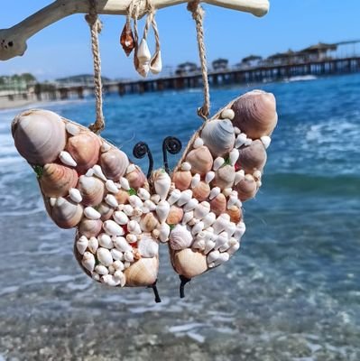 Ekateri74082035's profile picture. Family workshop of seashell crafts

 🌊 Our  shop👇
+905412698507