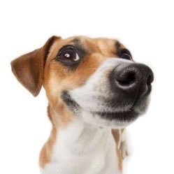 Lio_oiL123's profile picture. 3d modeler