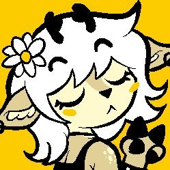 Shadokさんのプロフィール画像