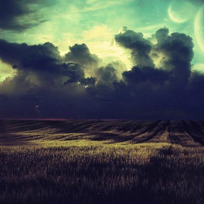 djibrilamaiga's profile picture. Better safe than sorry