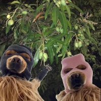 Jorja (@jorja_gg) 's Twitter Profile Photo Jorja (@jorja_gg) 's Twitter Profile Photo