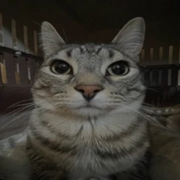 ed_ludo55937's profile picture. 
