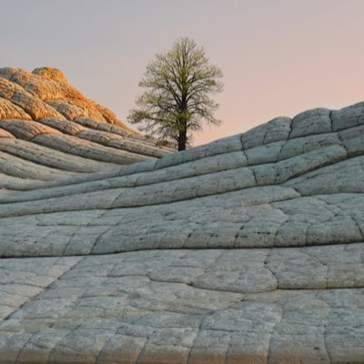 mesh_3_l's profile picture. مدونة تهتم بالمقام الأول بإعلانات الوظائف الجديدة في المملكة العربية السعودية… و لا تخلو المدونة من بعض المعارف و العلوم الأخرى