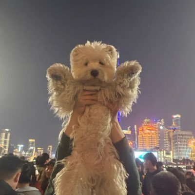 Sythtrader's profile picture. Consistency. Discipline. Strategy