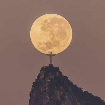 NotEdoVoss's profile picture. pass me the aux! Medical Doctor⚕️,✍🏾,♟️,🟥