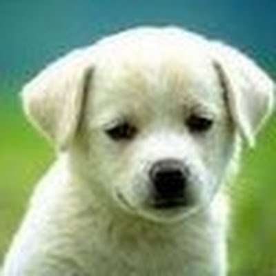 AMagege's profile picture. 