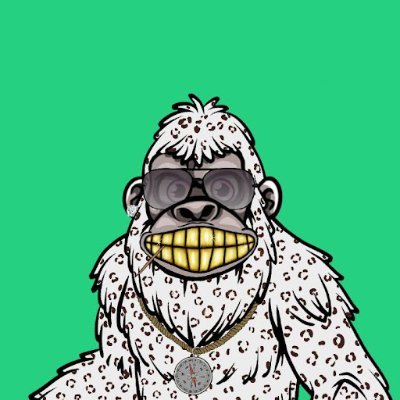 Robbo 👣🍀🪖さんのプロフィール画像