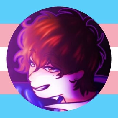 Shiel_overwriterさんのプロフィール画像