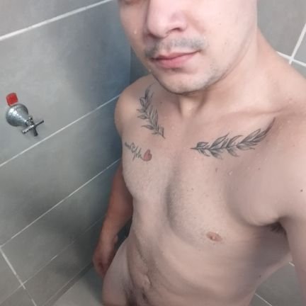 WendelFreitasB's profile picture. 