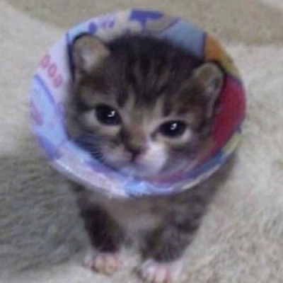 Dandrawn11Dani's profile picture. 