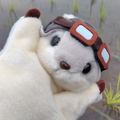 はんなま☀🦀さんのプロフィール画像
