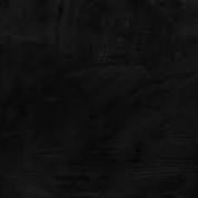 SiroKuro_orca's profile picture. ↑↓推しだけに狂わされたい人生