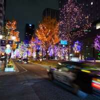 だいき (@iocqdquhjz80403) 's Twitter Profile