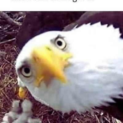 choose2Bhappy's profile picture. 🌊 🪷 trying to stay positive. science & politics enthusiast. bookworm. words matter. “like” might just mean 🤨