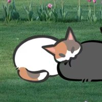 🧚♀️ (@andbhaw) 's Twitter Profile