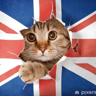 kasIsFreedom Profile Picture