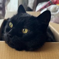 comasa (@comasa0519) 's Twitter Profile