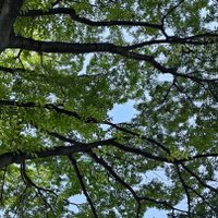 A7b (@05drp292025) 's Twitter Profile