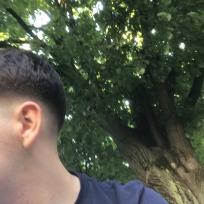 lucas Profile