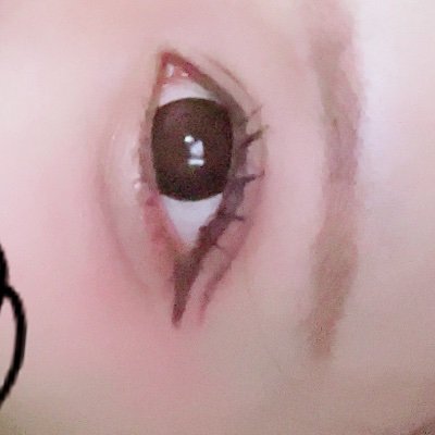 🚺 アイコン本人です૮₍ ̥⎽ ̫ ⎽ ̥₎ა また、アカウントはこのアカウントのみです。