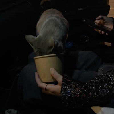 doulyash's profile picture. 