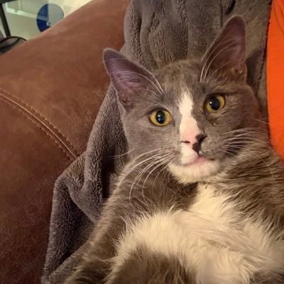 ZechariWood's profile picture. 