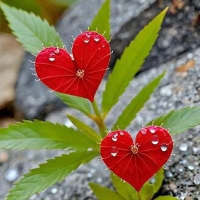 ajayrajsinh57's profile picture. 