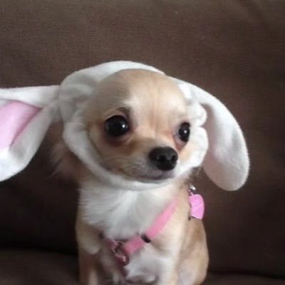 Nellyco66's profile picture. 🍮