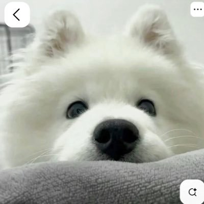 s_odikk's profile picture. 27卒|目標:年内に終わらせる💨