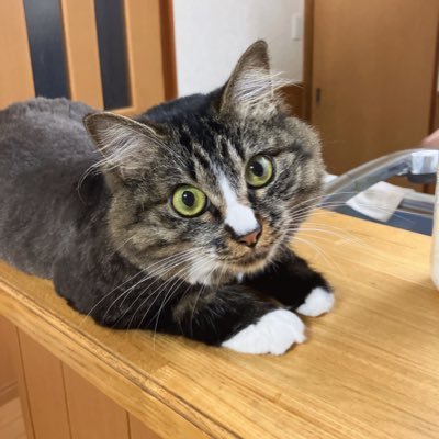 ick_gw's profile picture. 箱推しのテテよりです💜 少女漫画Love♡色んなジャンルの夢小説、漫画を読むのも大好きです♡♡ (地雷は自分で避けます！！)20↑高卒済み