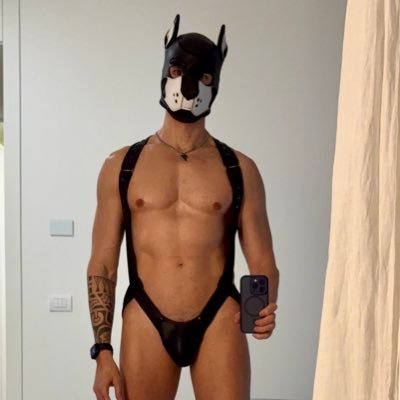 Proudly Italian gay, a little puppy, jocky, nerdy, kinky. 💍@harkerpup