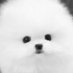 James (@jamesistired) Twitter profile photo James (@jamesistired) Twitter profile photo