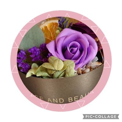 OPooh0623's profile picture. 