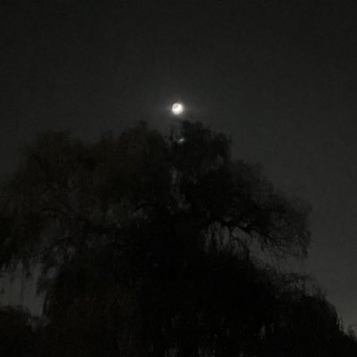 L2CODENOOB's profile picture. never wrong.