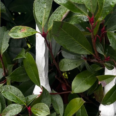 Hofk_18's profile picture. #CIS 💻