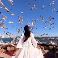 Weafo (@weafo2103544) 's Twitter Profile
