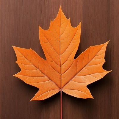 marigolds1234's profile picture. 